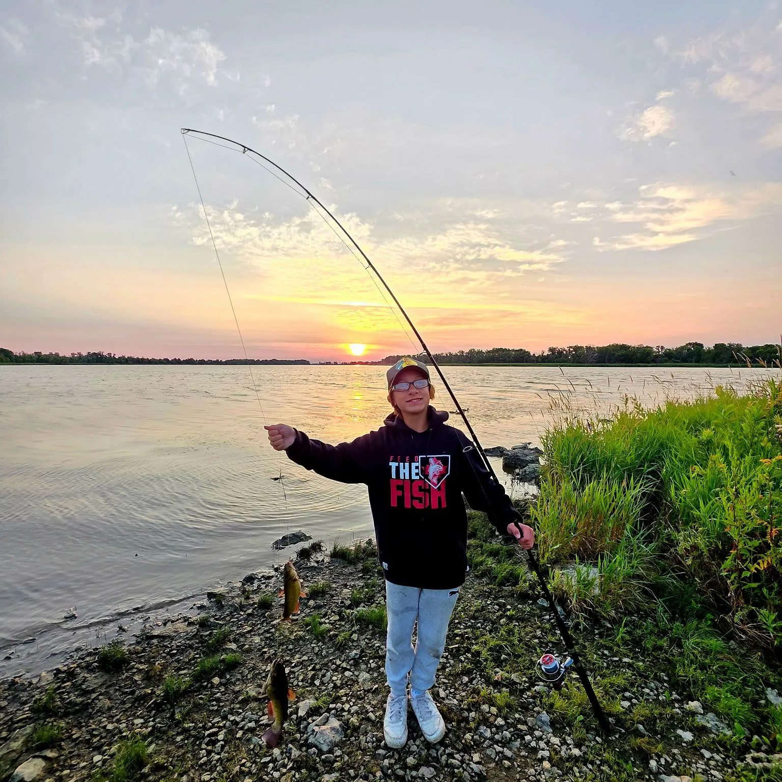 Yellow bullhead caught on Fishbrain