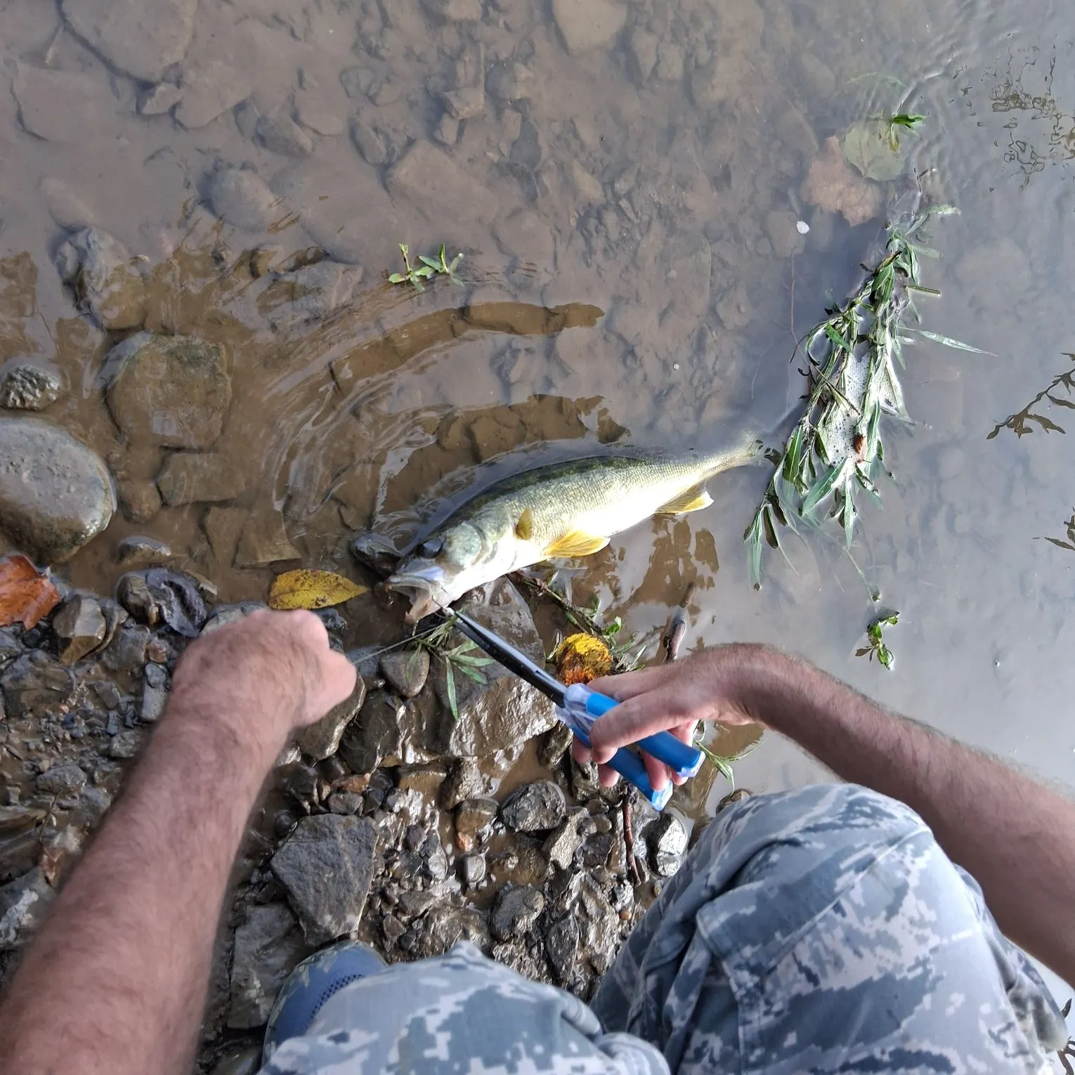 catch