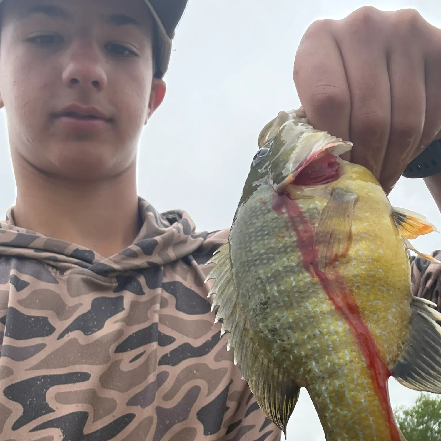 catch