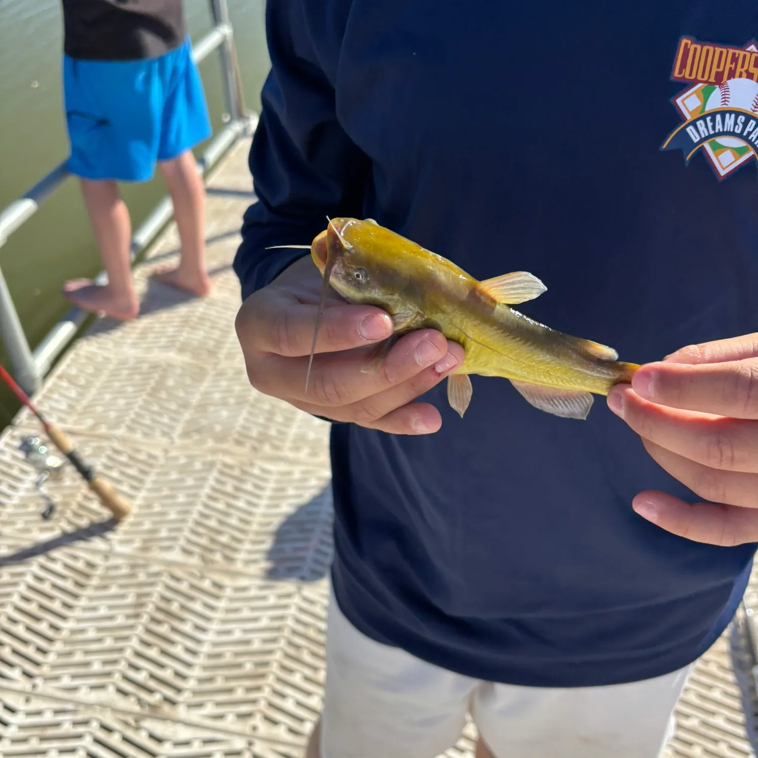 Yellow bullhead caught on Fishbrain