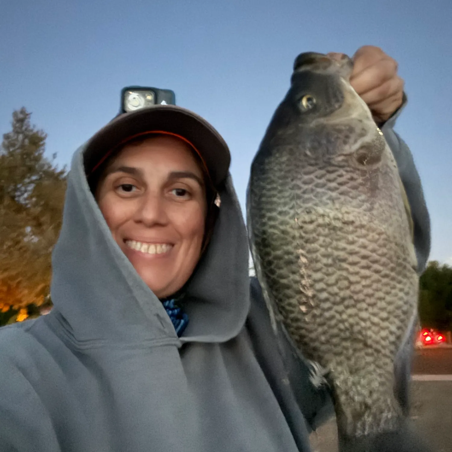 Blue tilapia caught on Fishbrain