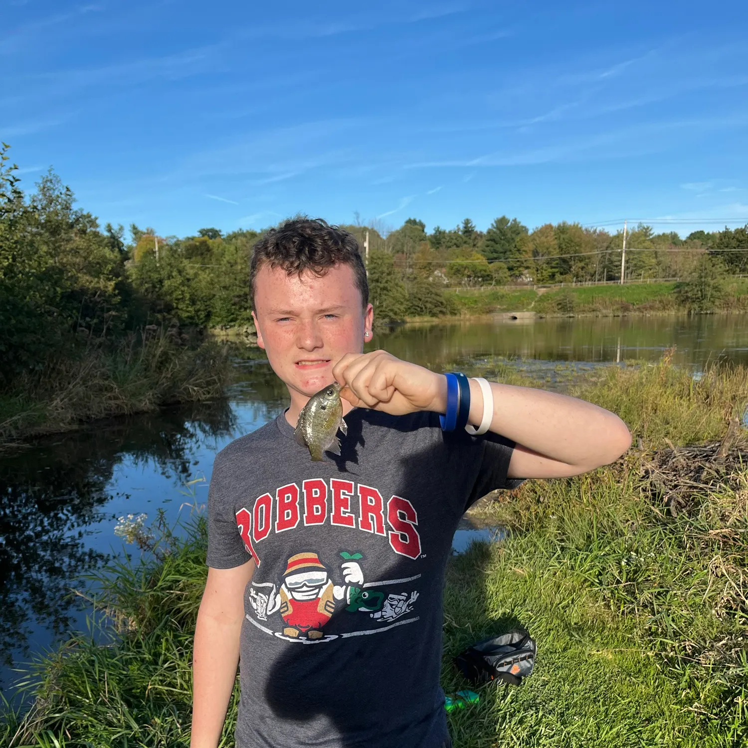 Bluegill caught on Fishbrain
