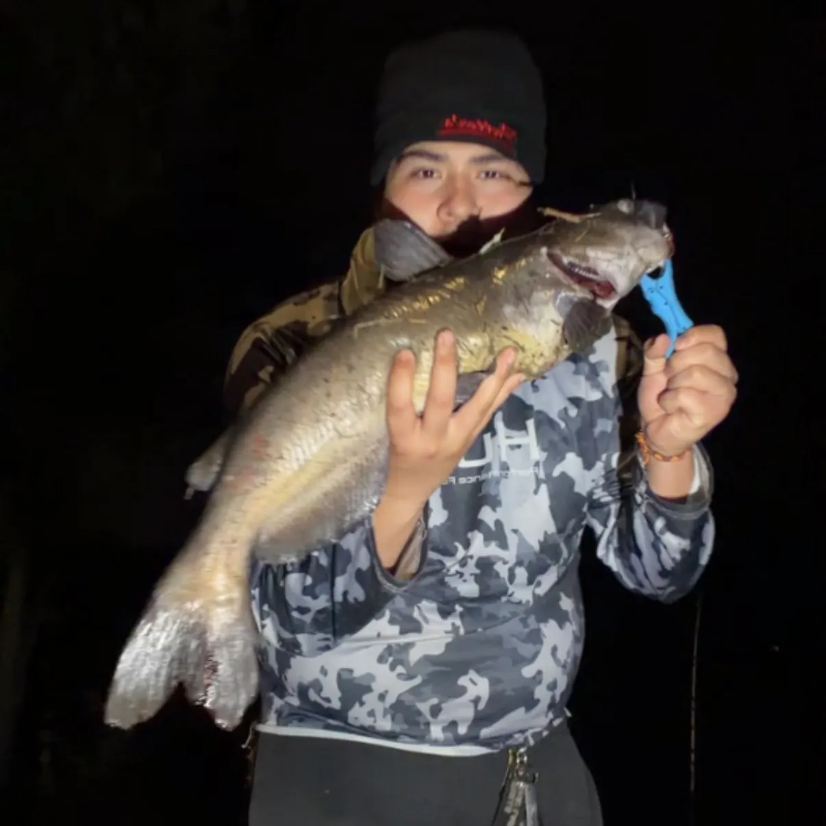 Channel catfish caught on Fishbrain