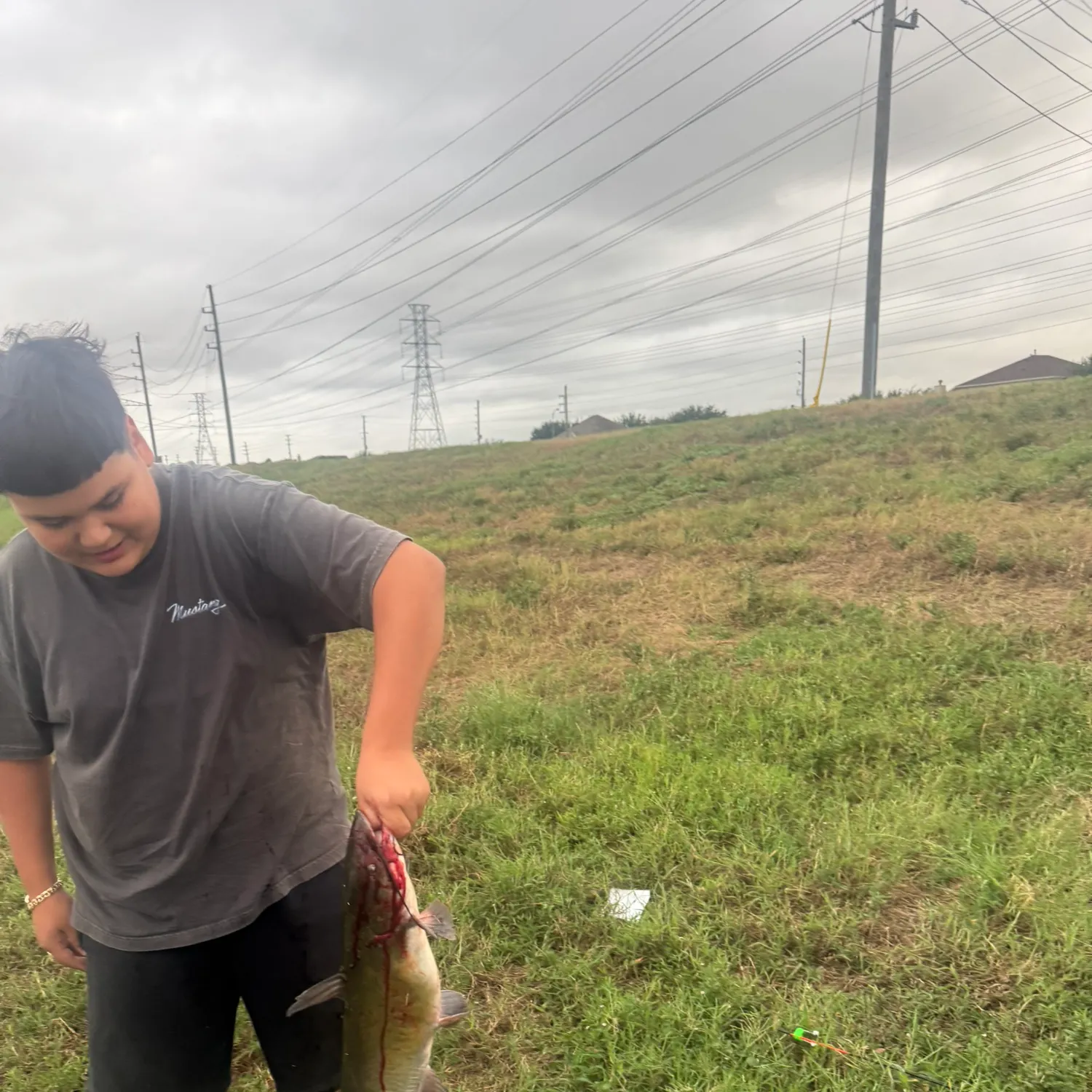 Channel catfish caught on Fishbrain