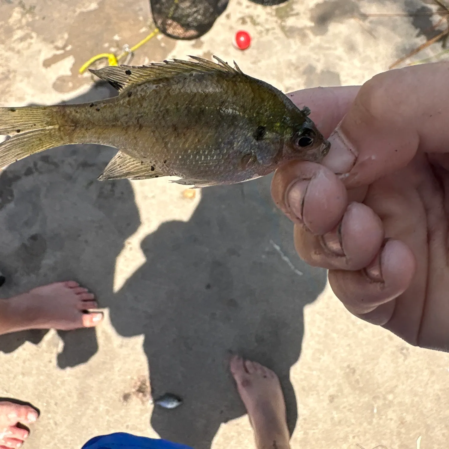 catch