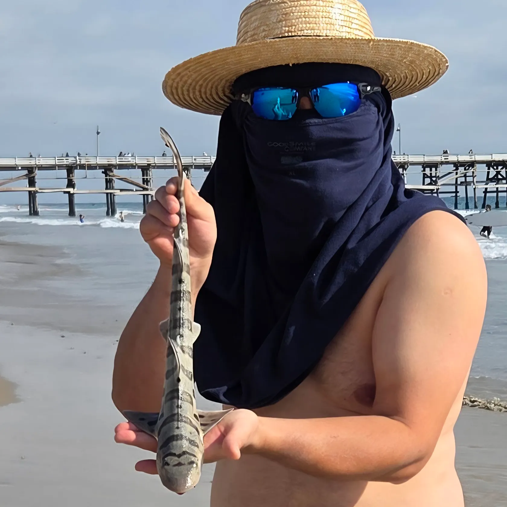 The most recent Leopard shark catches on Fishbrain