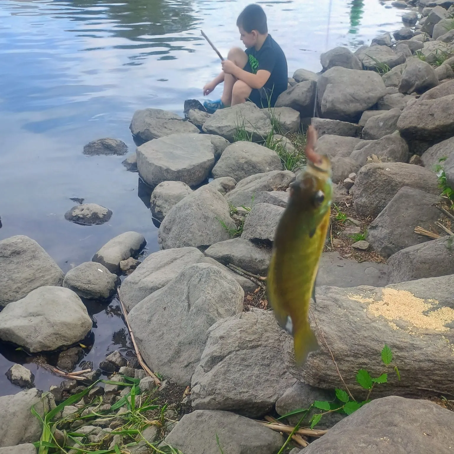 catch
