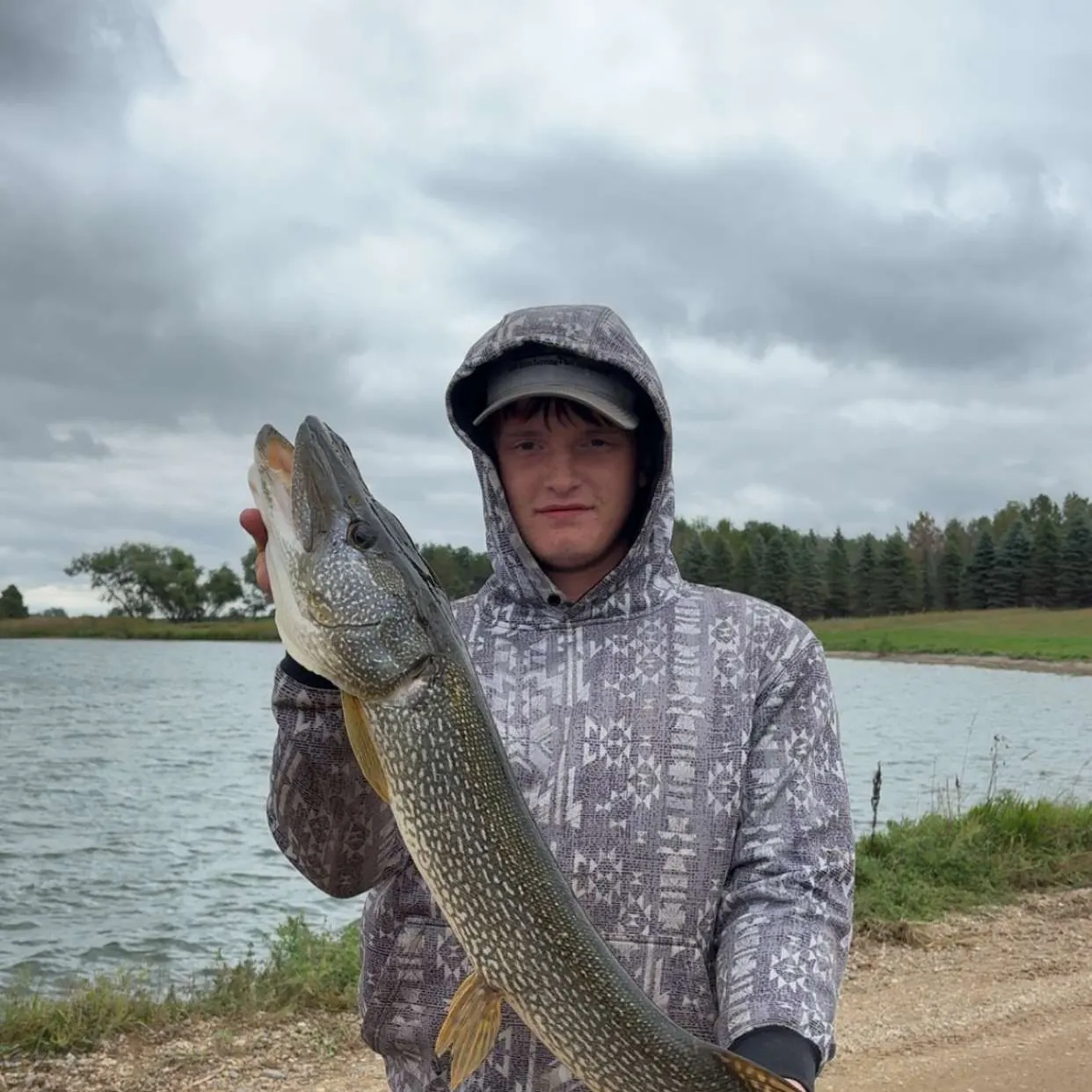 Northern pike caught on Fishbrain