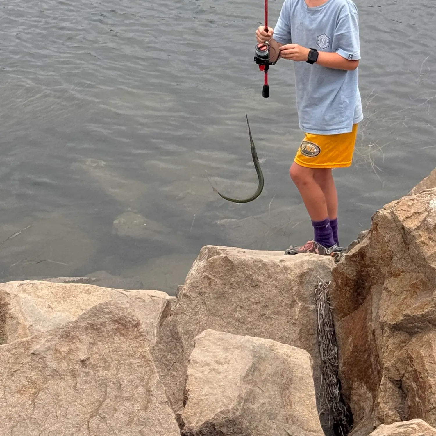 recently logged catches