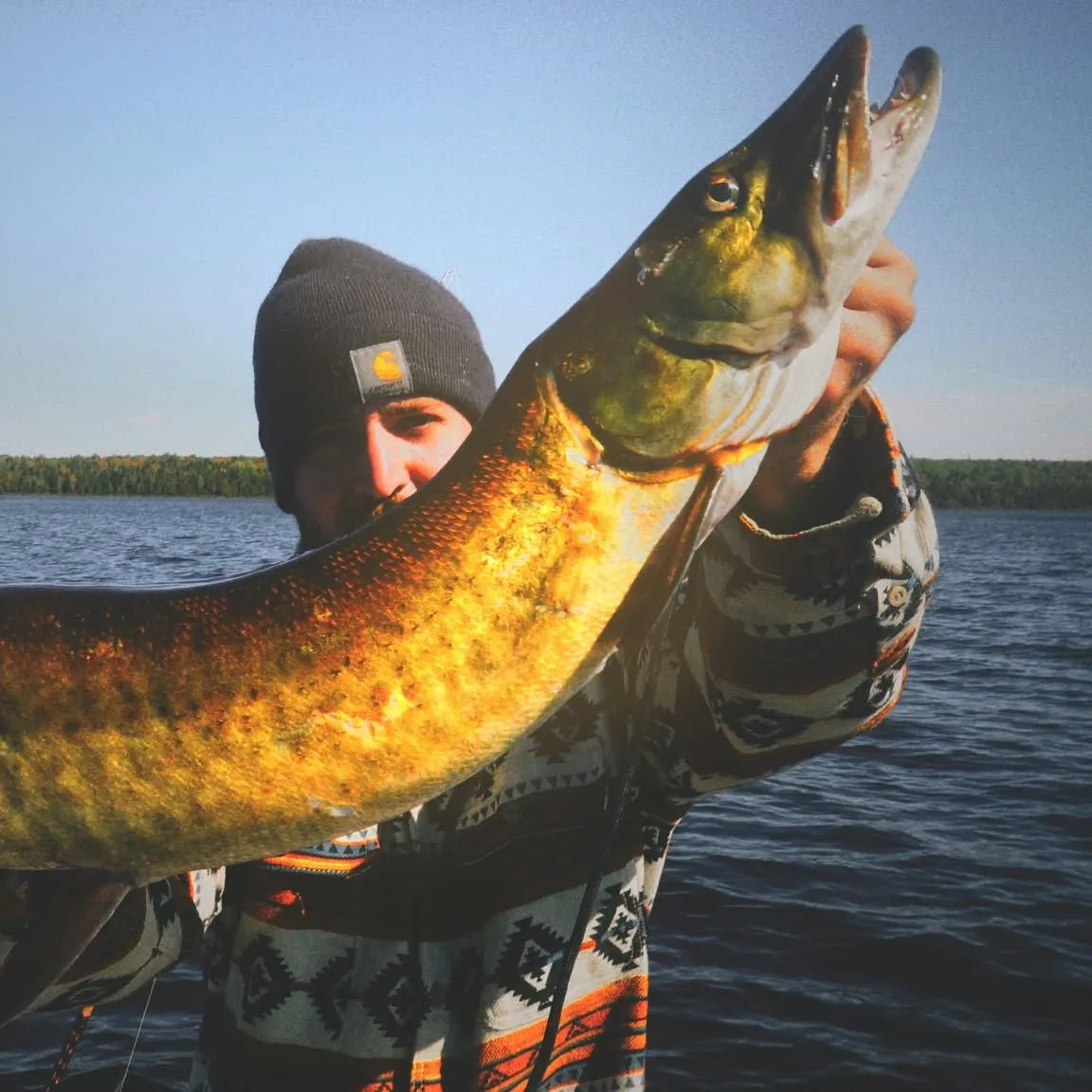Muskie caught on Fishbrain