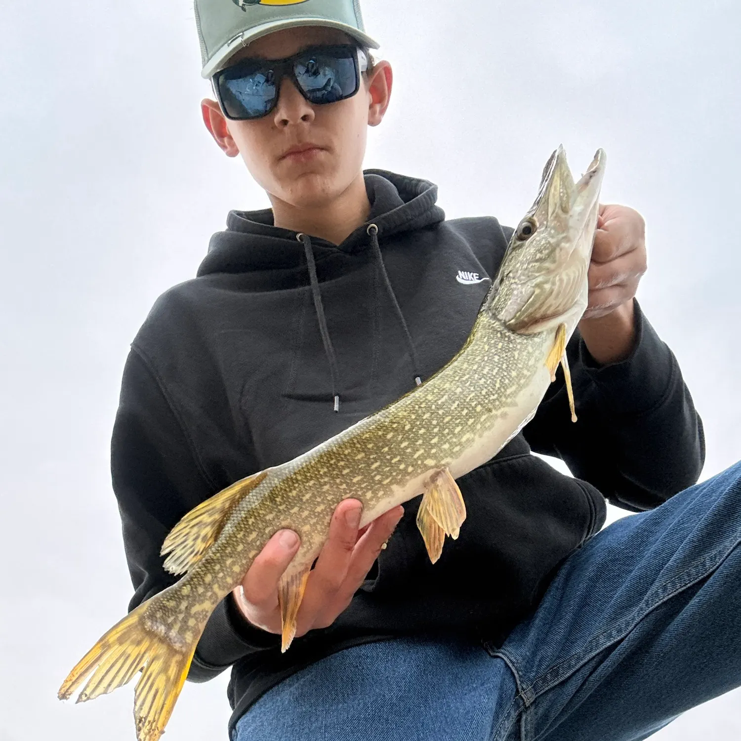 Northern pike caught on Fishbrain