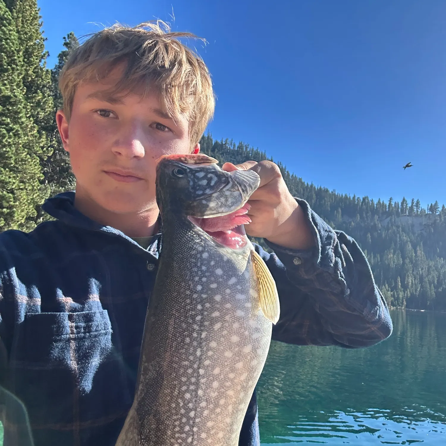 Lake char caught on Fishbrain