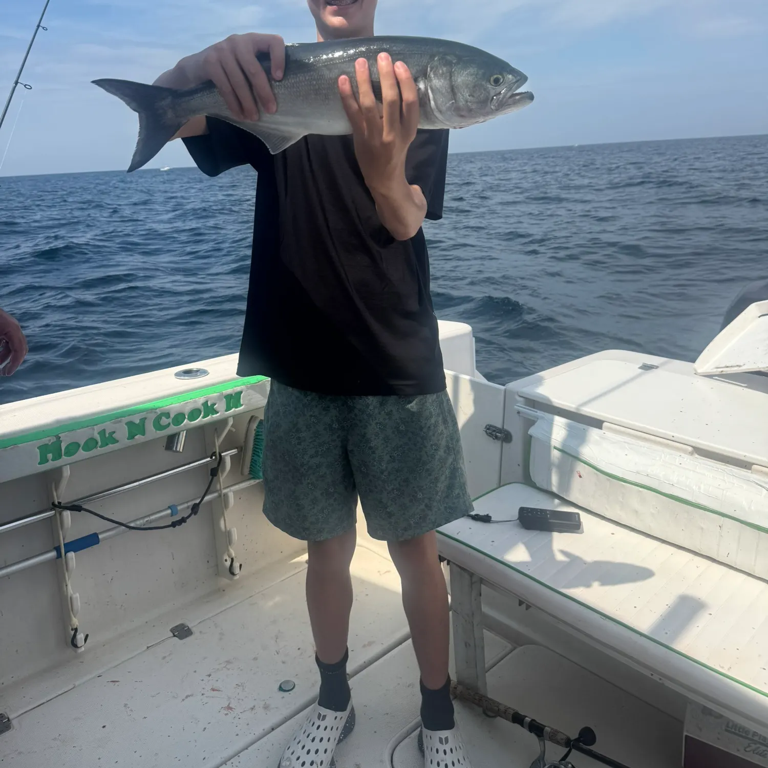 Bluefish caught on Fishbrain