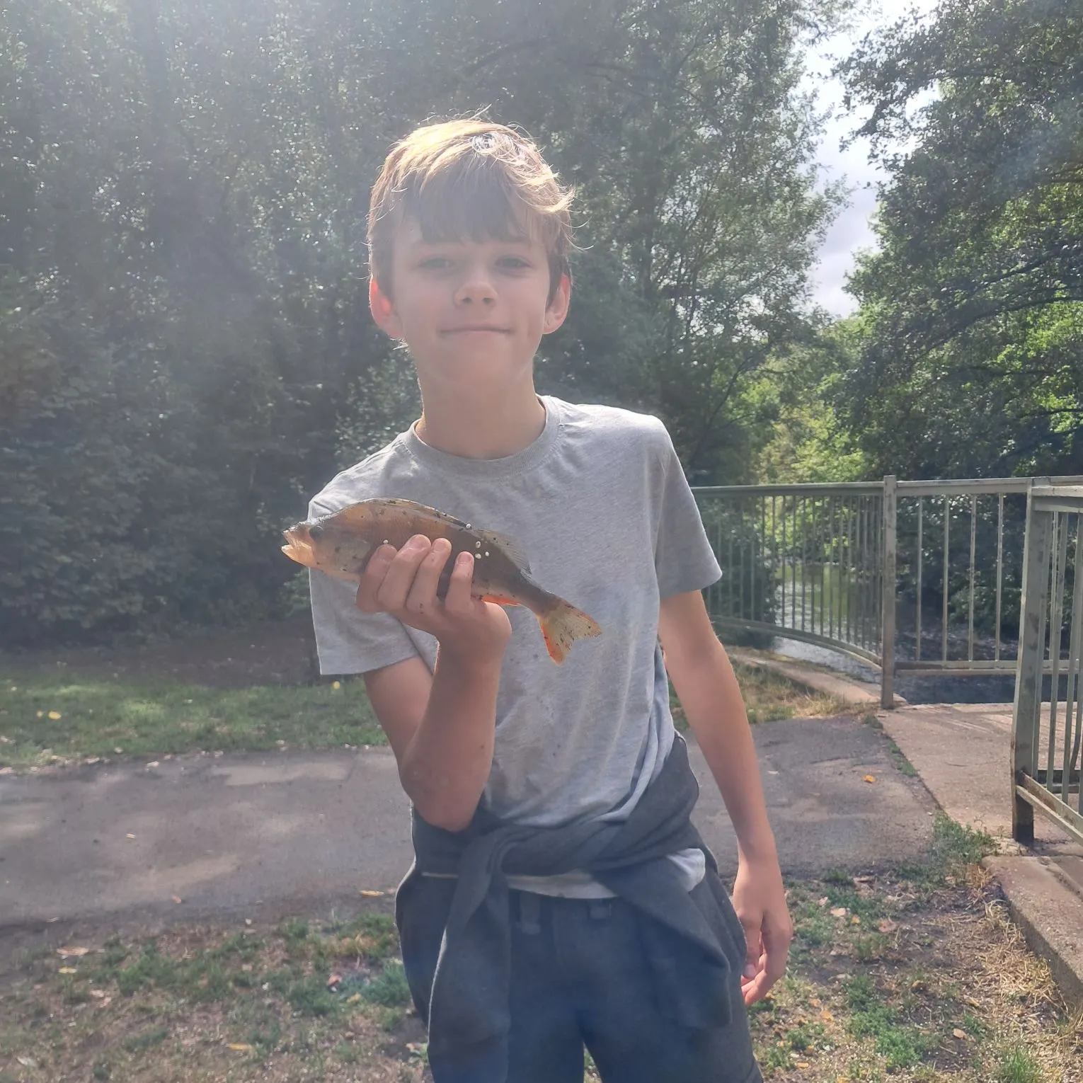 European perch caught on Fishbrain