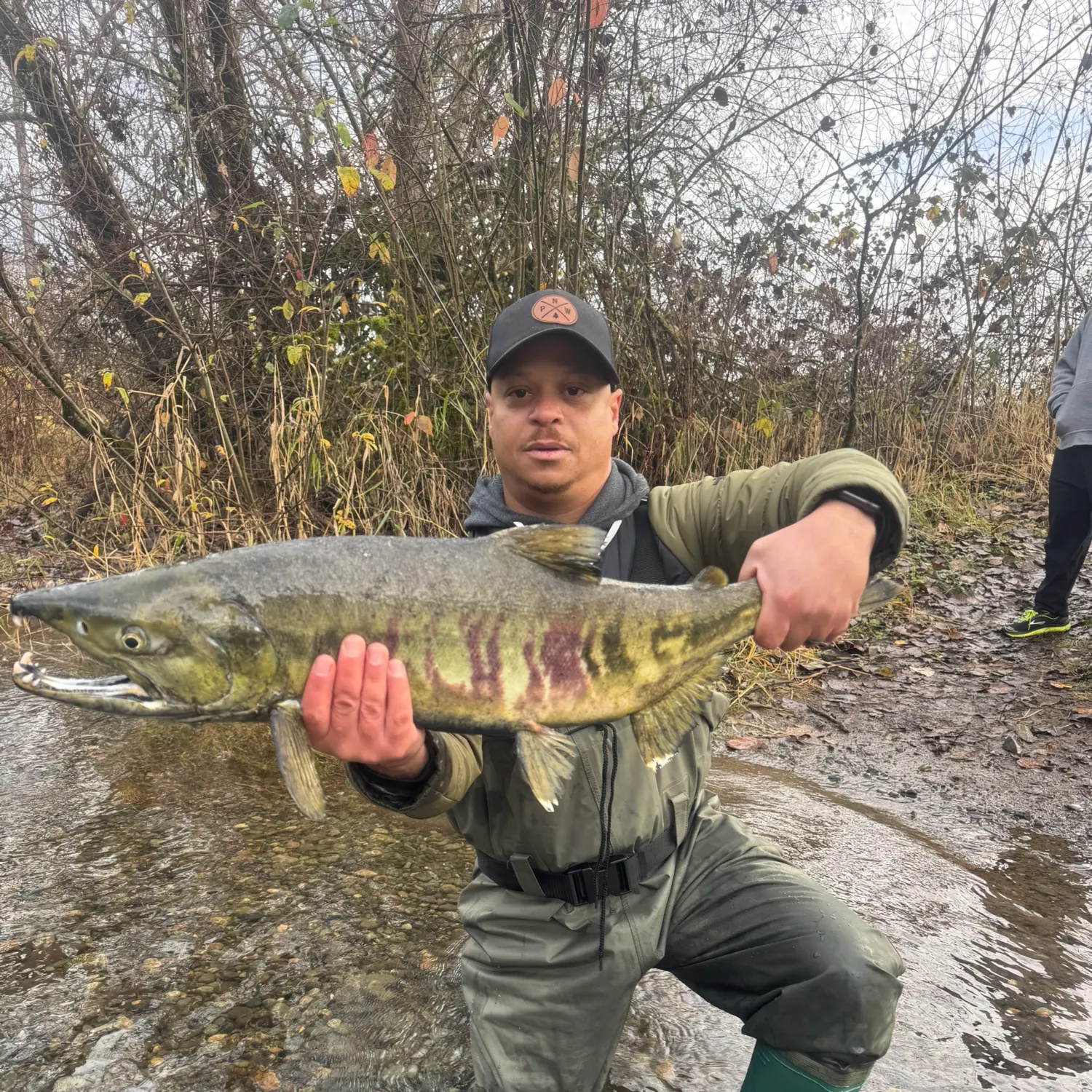 The most recent Chum salmon catches on Fishbrain