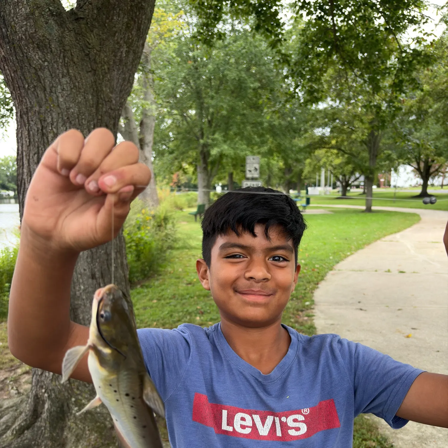 Channel catfish caught on Fishbrain