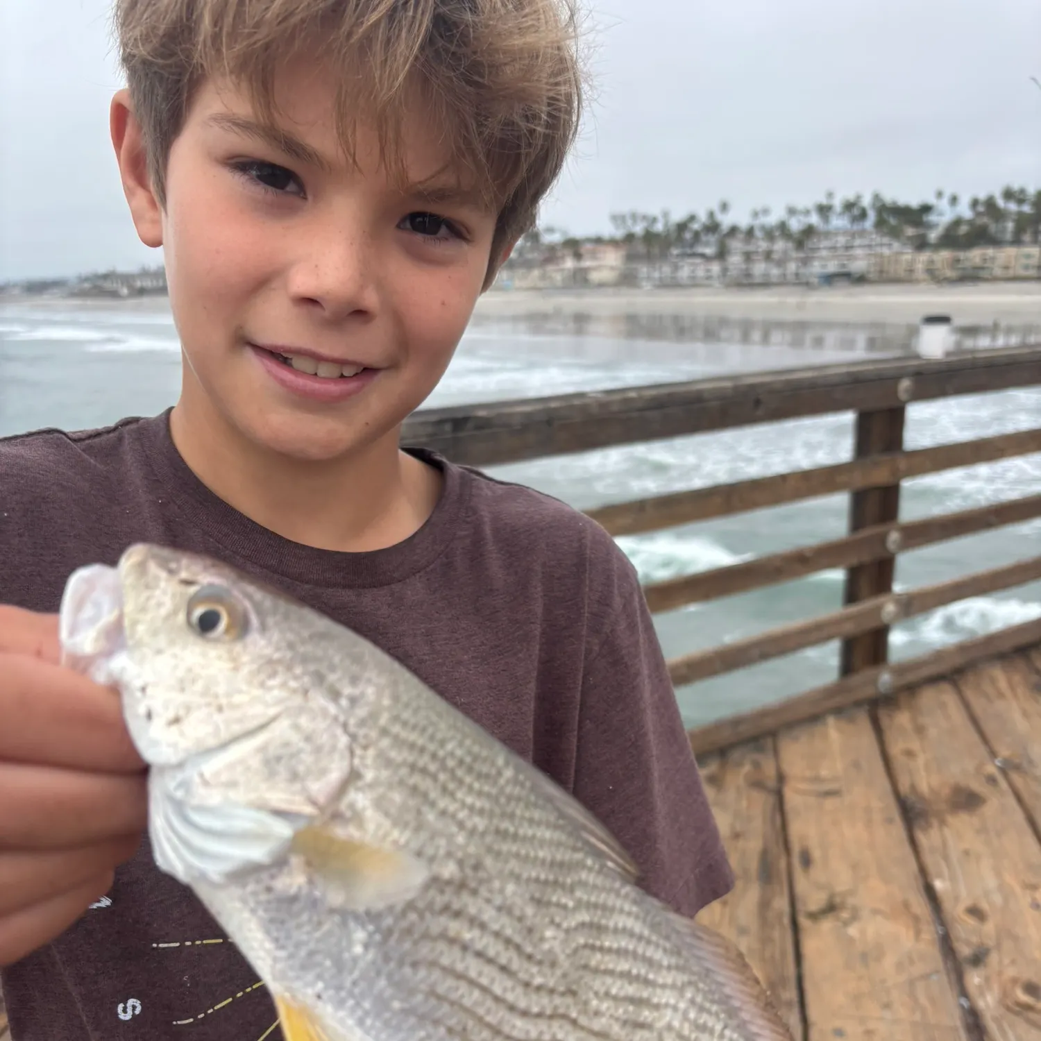 The most recent Yellowfin croaker catches on Fishbrain