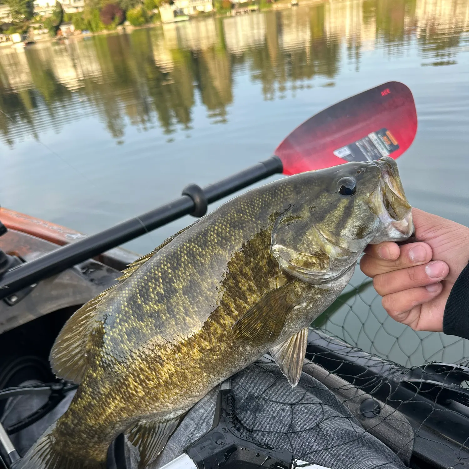 angler catch