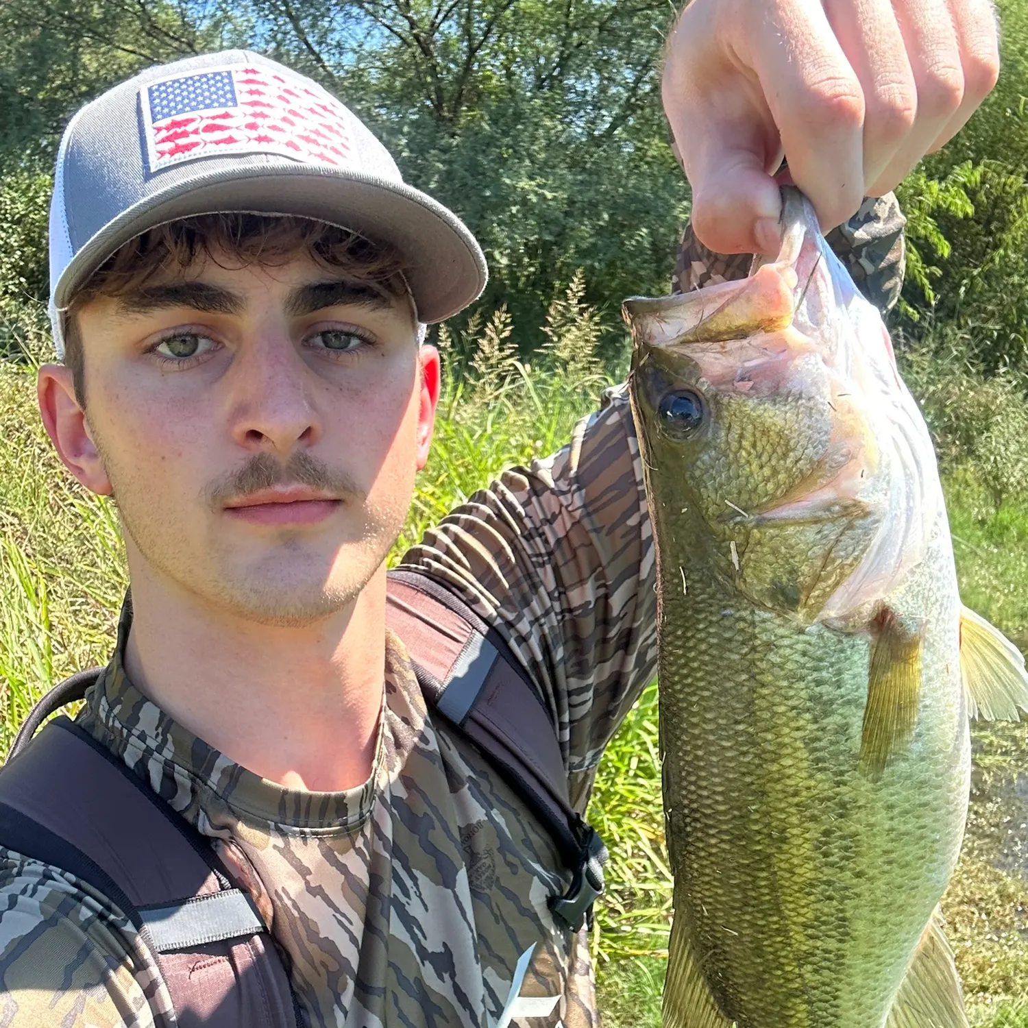 Largemouth bass caught on Fishbrain