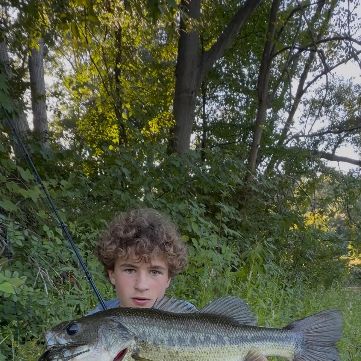 Largemouth bass caught on Fishbrain