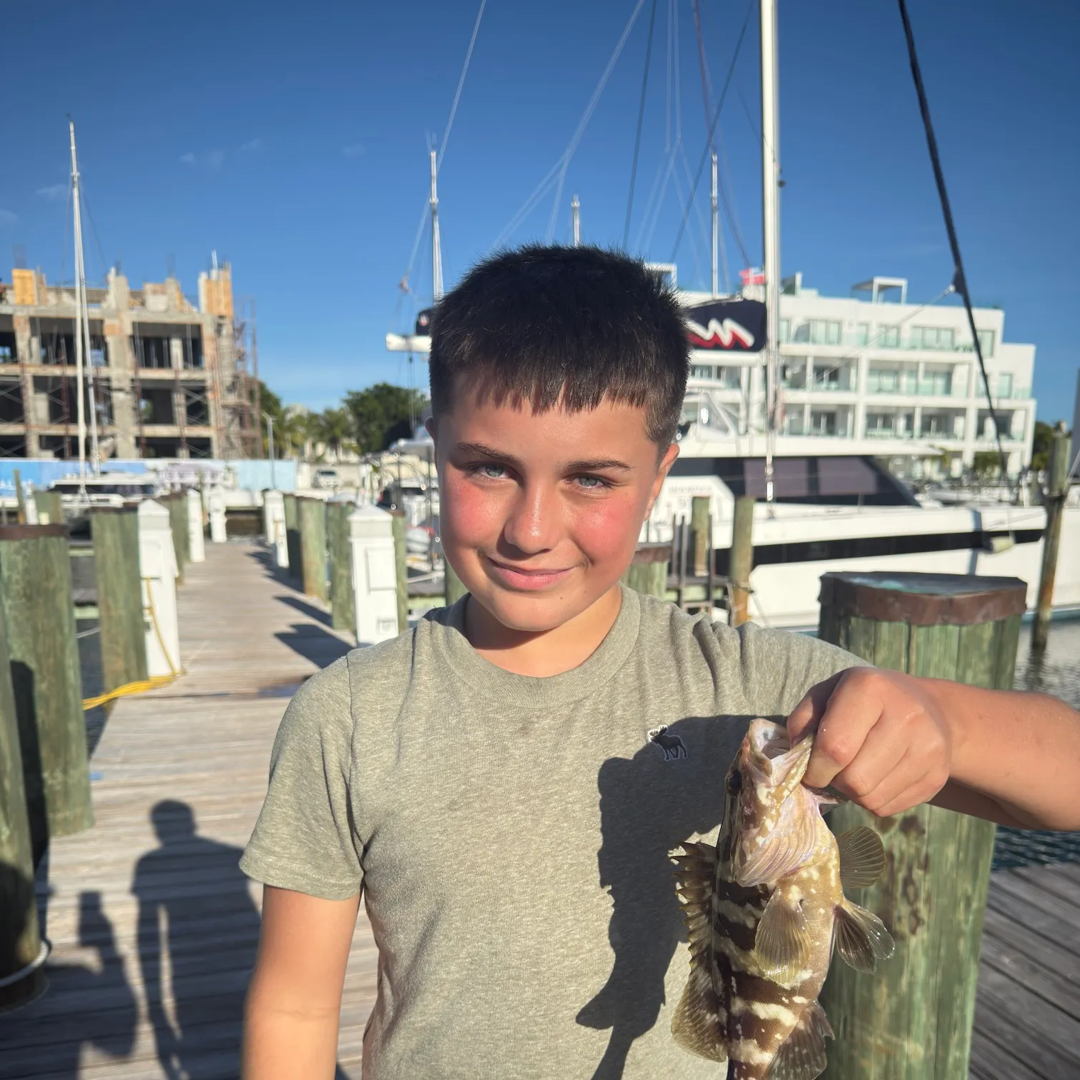 The most recent Ballan wrasse catches on Fishbrain