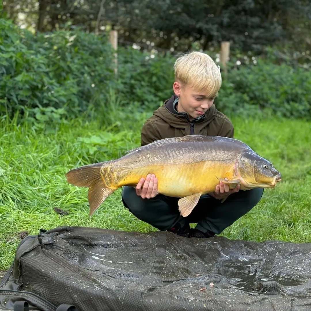 Leather carp caught on Fishbrain
