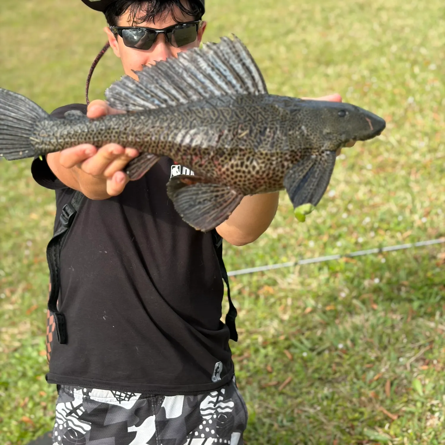 The most recent Suckermouth catfish catches on Fishbrain