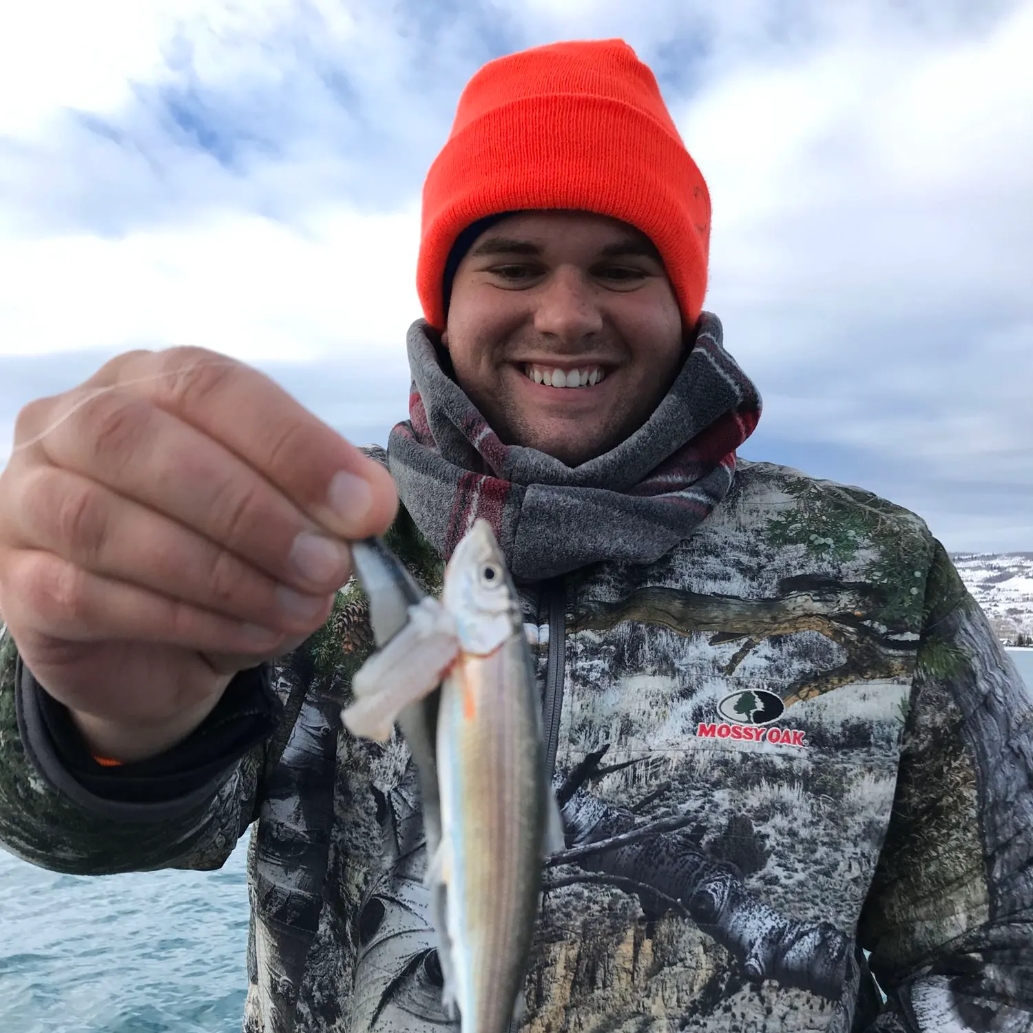 The most recent Bonneville cisco catches on Fishbrain