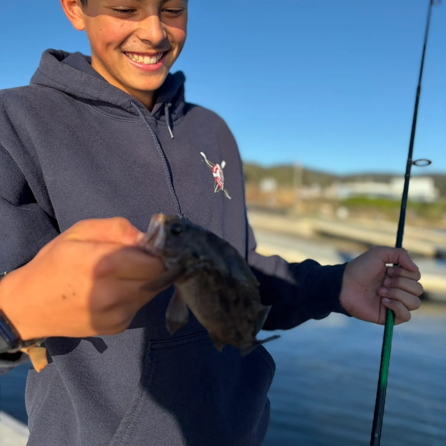 The most recent Black rockfish catches on Fishbrain