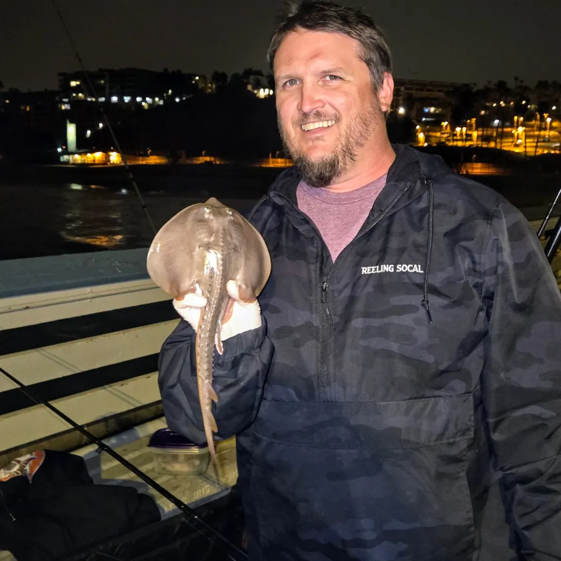 Thornback guitarfish caught on Fishbrain