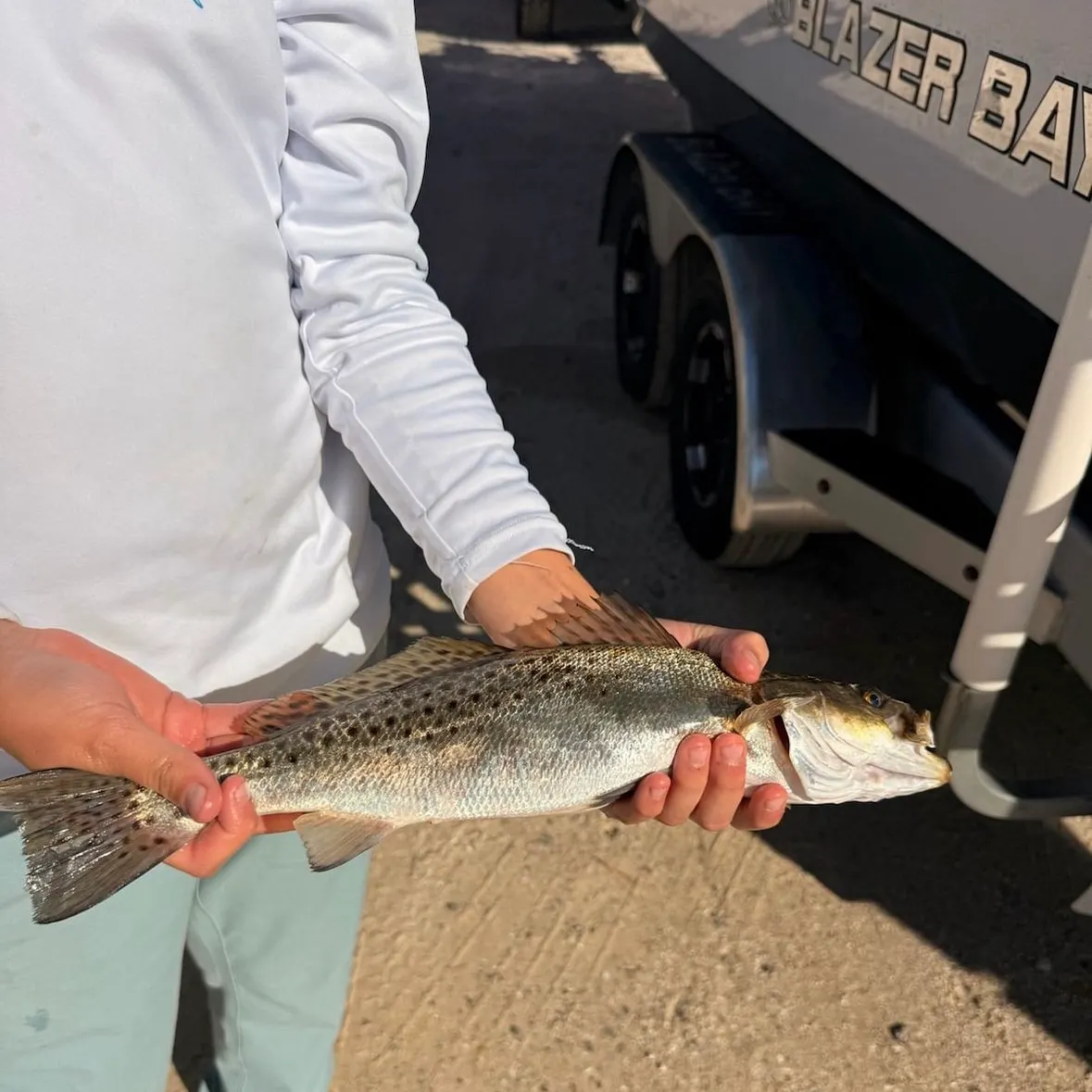 Spotted seatrout caught on Fishbrain