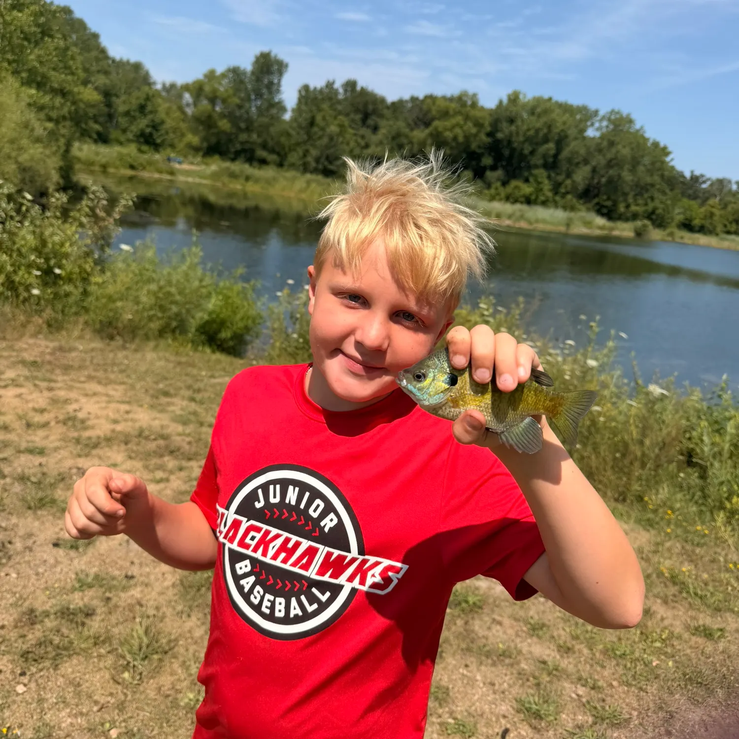 Pumpkinseed caught on Fishbrain