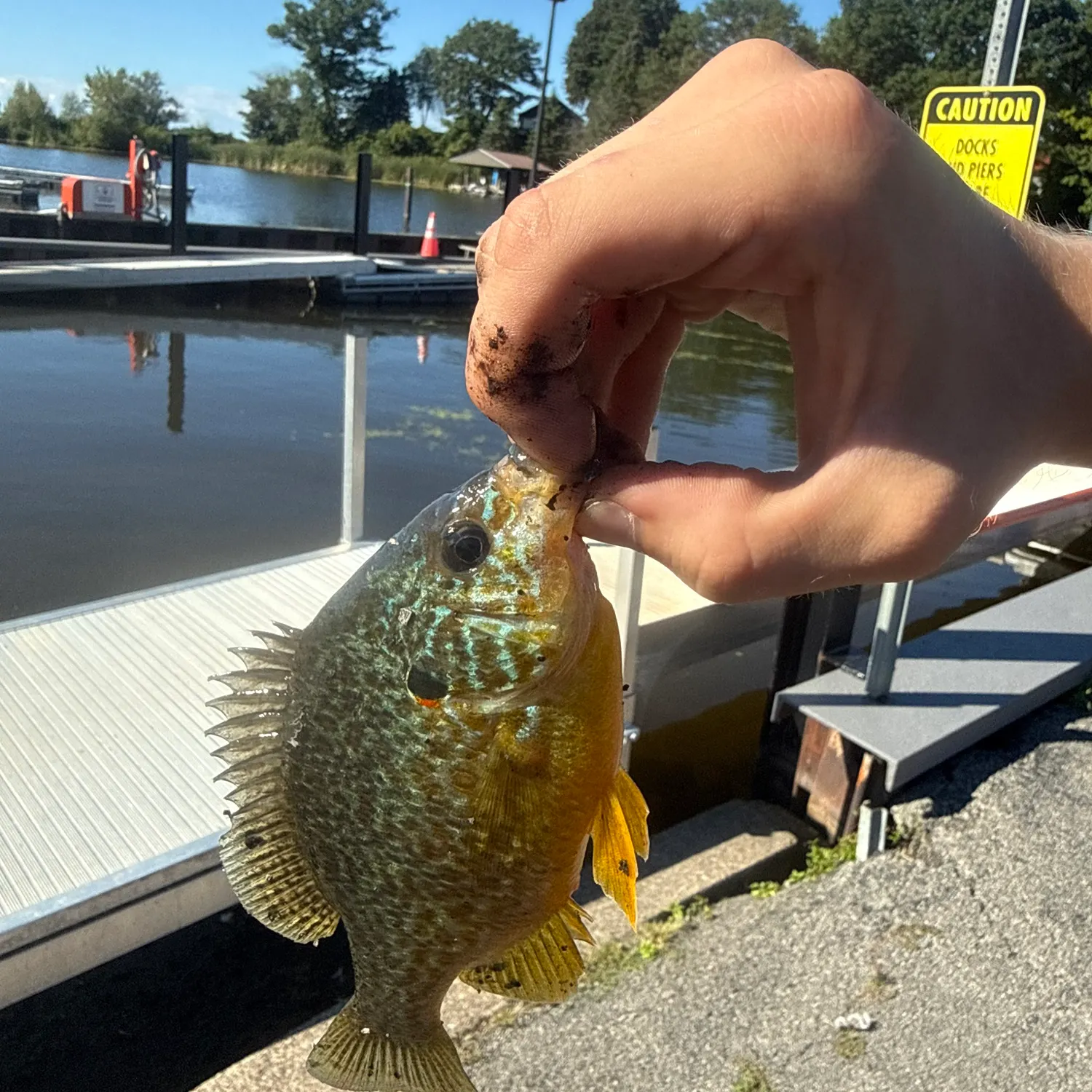 catch