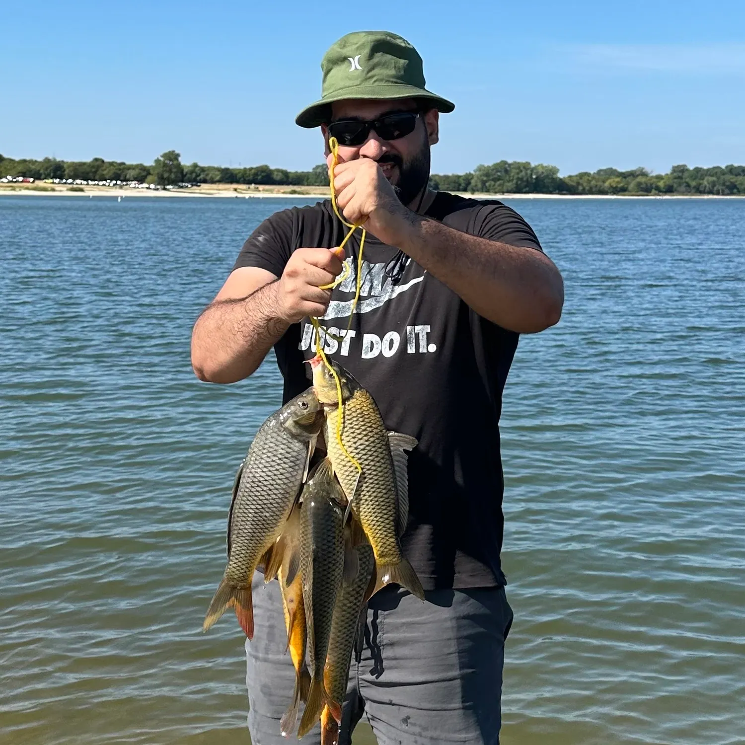 Common carp caught on Fishbrain