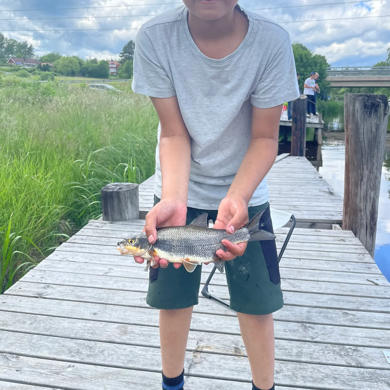 The most recent Vimba bream catches on Fishbrain