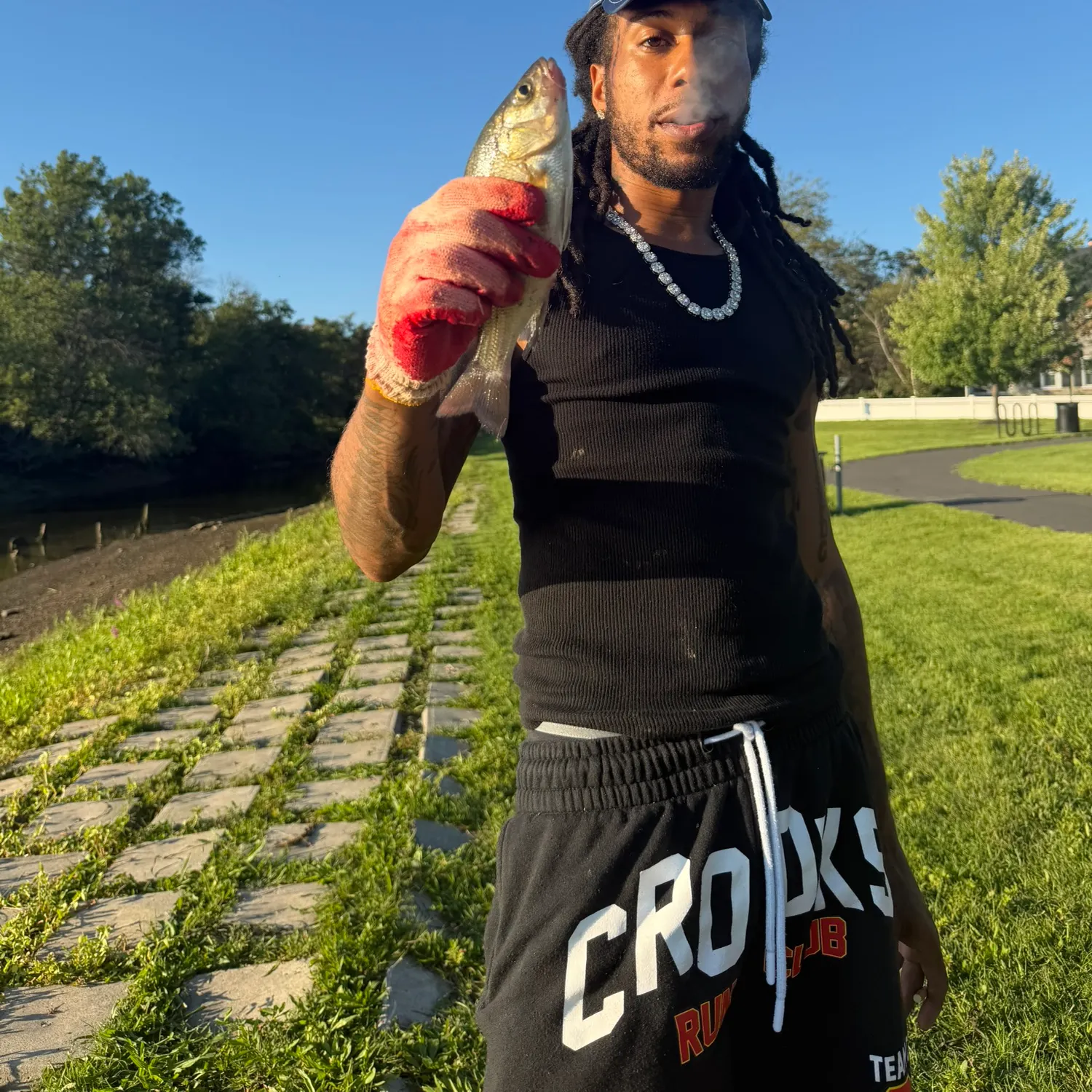 White perch caught on Fishbrain