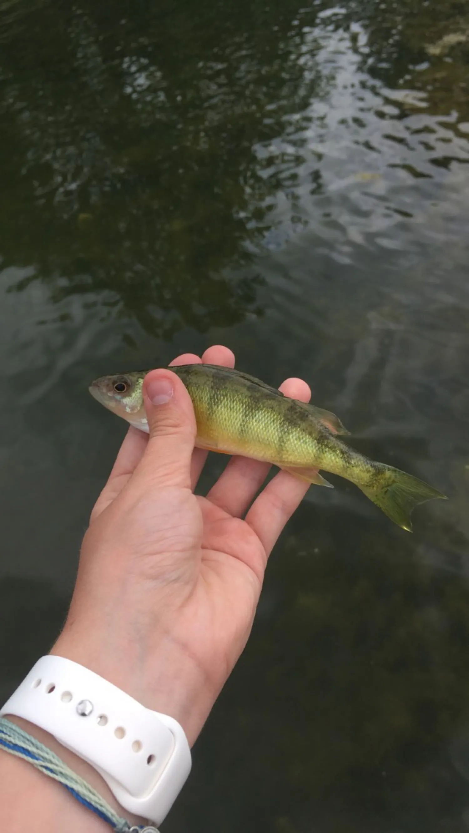 Post image from natalieschultz