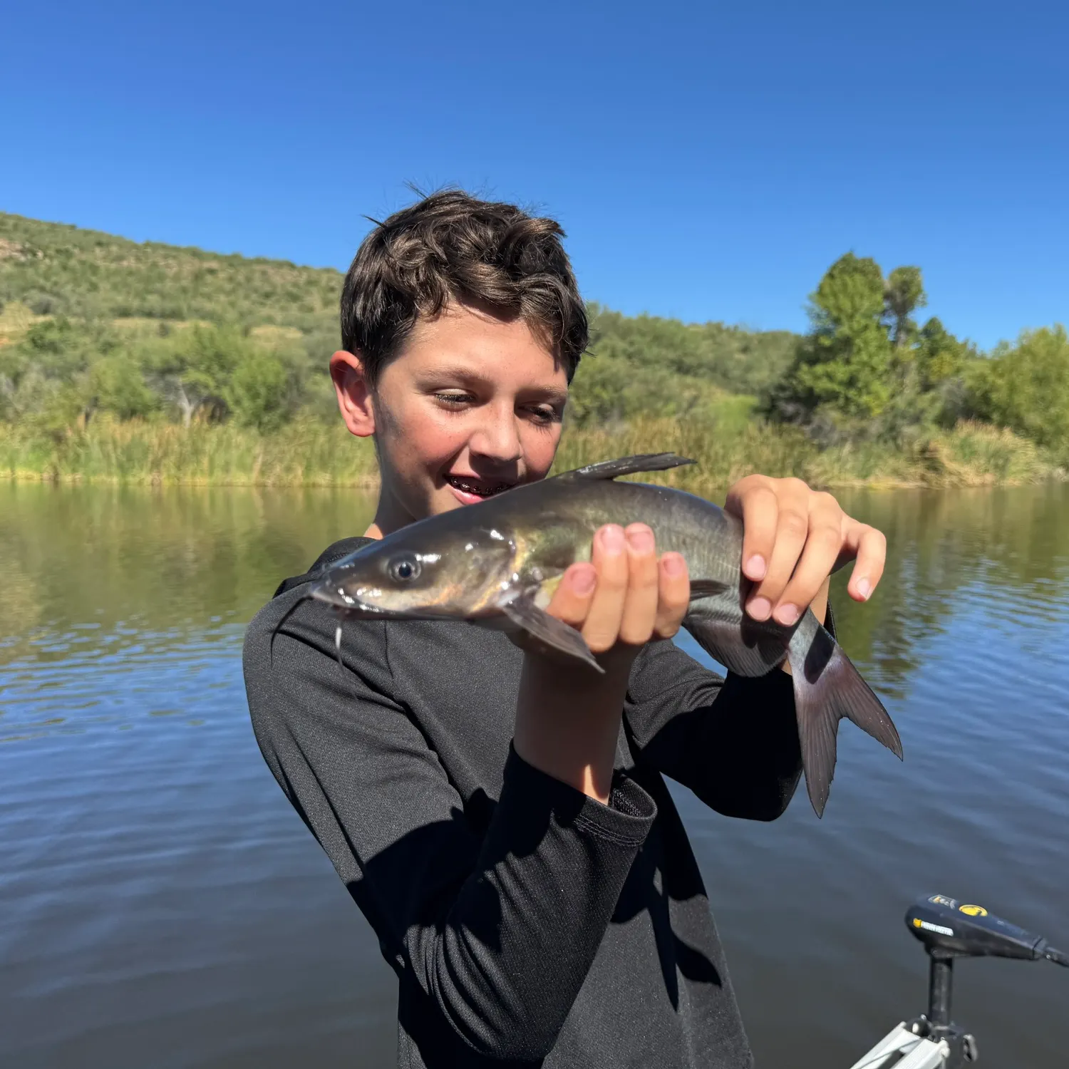 Channel catfish caught on Fishbrain