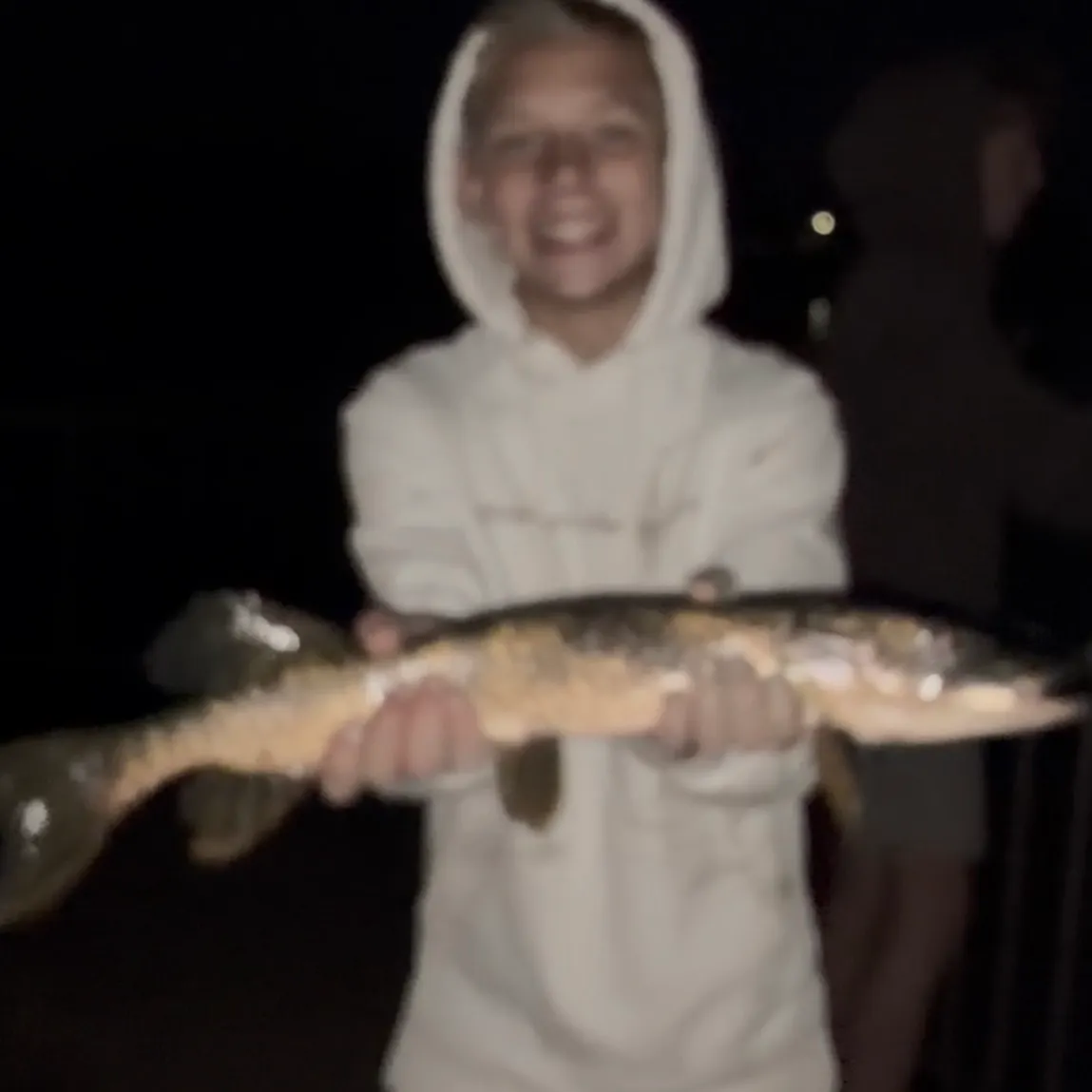 Northern pike caught on Fishbrain