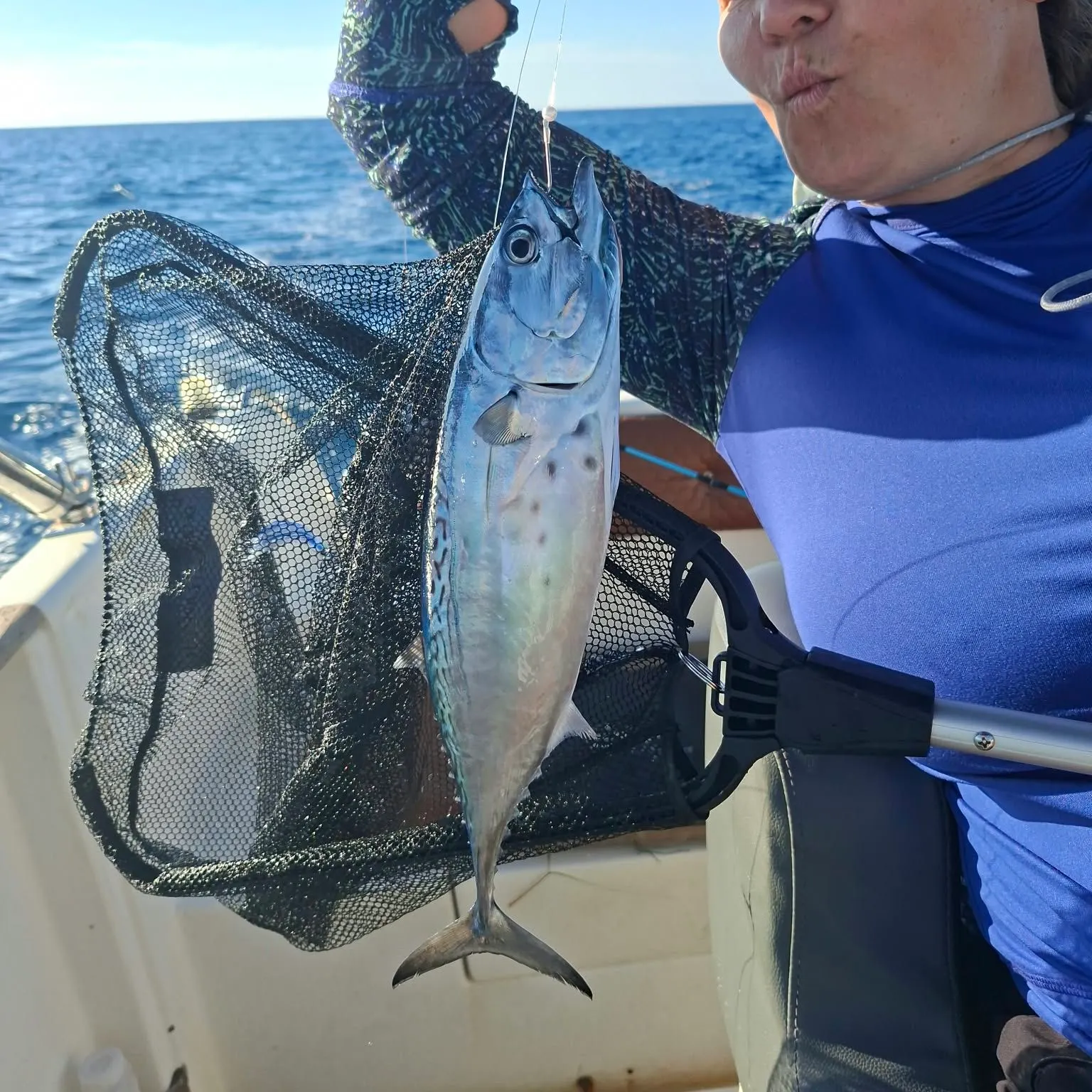 Little tunny caught on Fishbrain