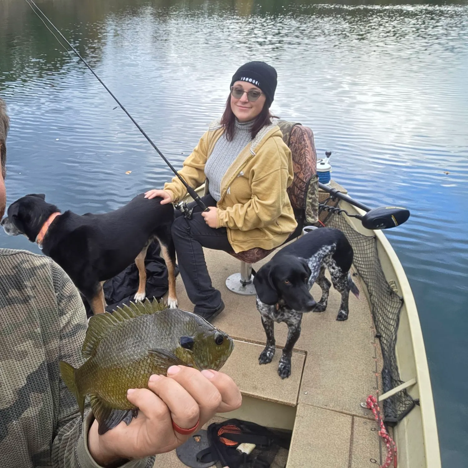 Greengill hybrid caught on Fishbrain