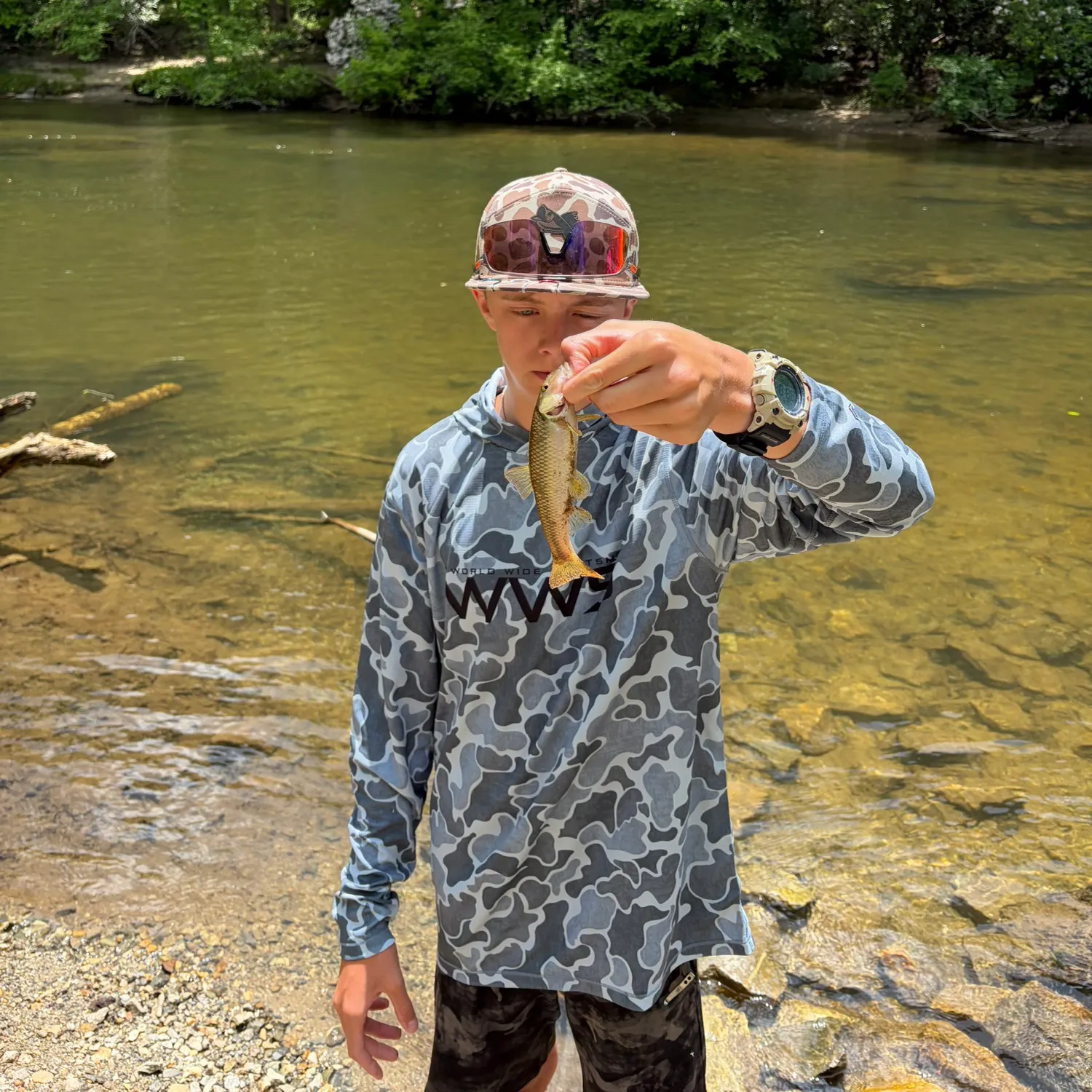 The most recent Spotted sucker catches on Fishbrain