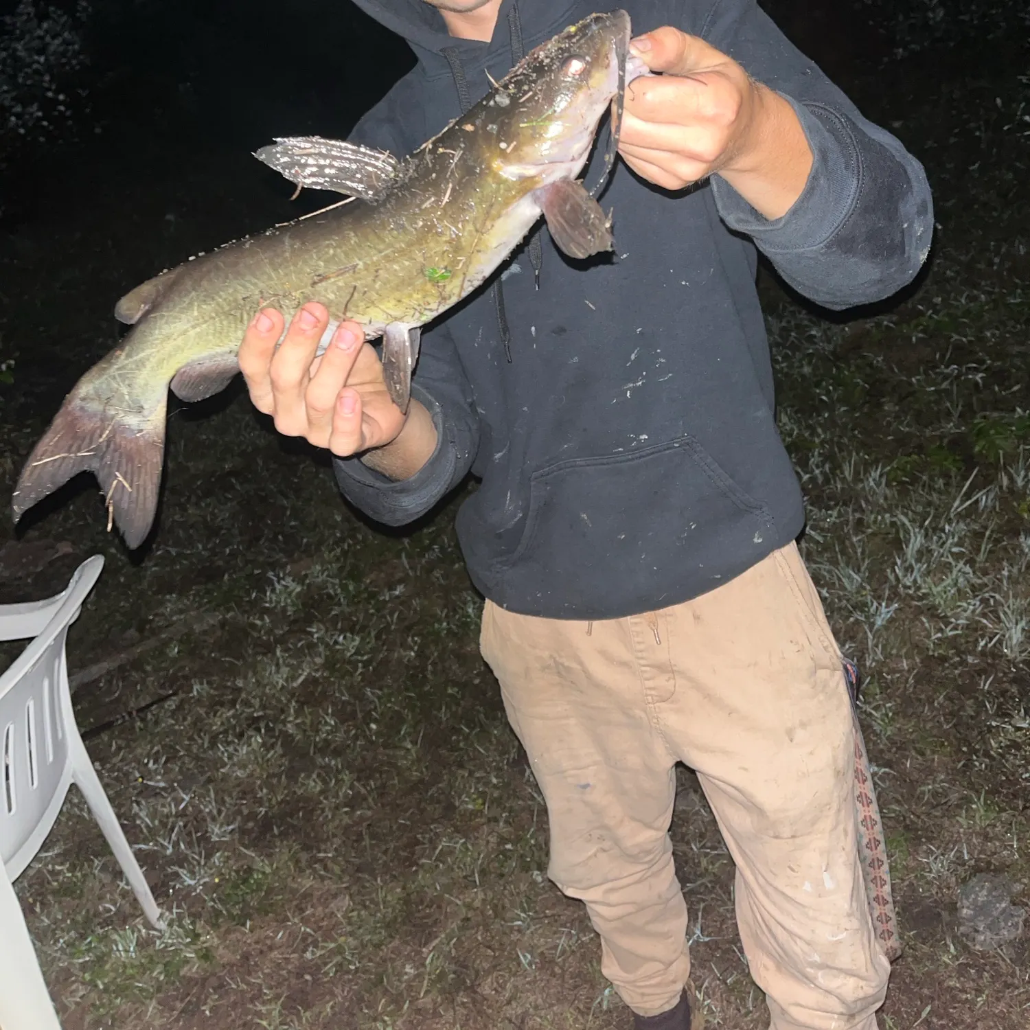 Channel catfish caught on Fishbrain