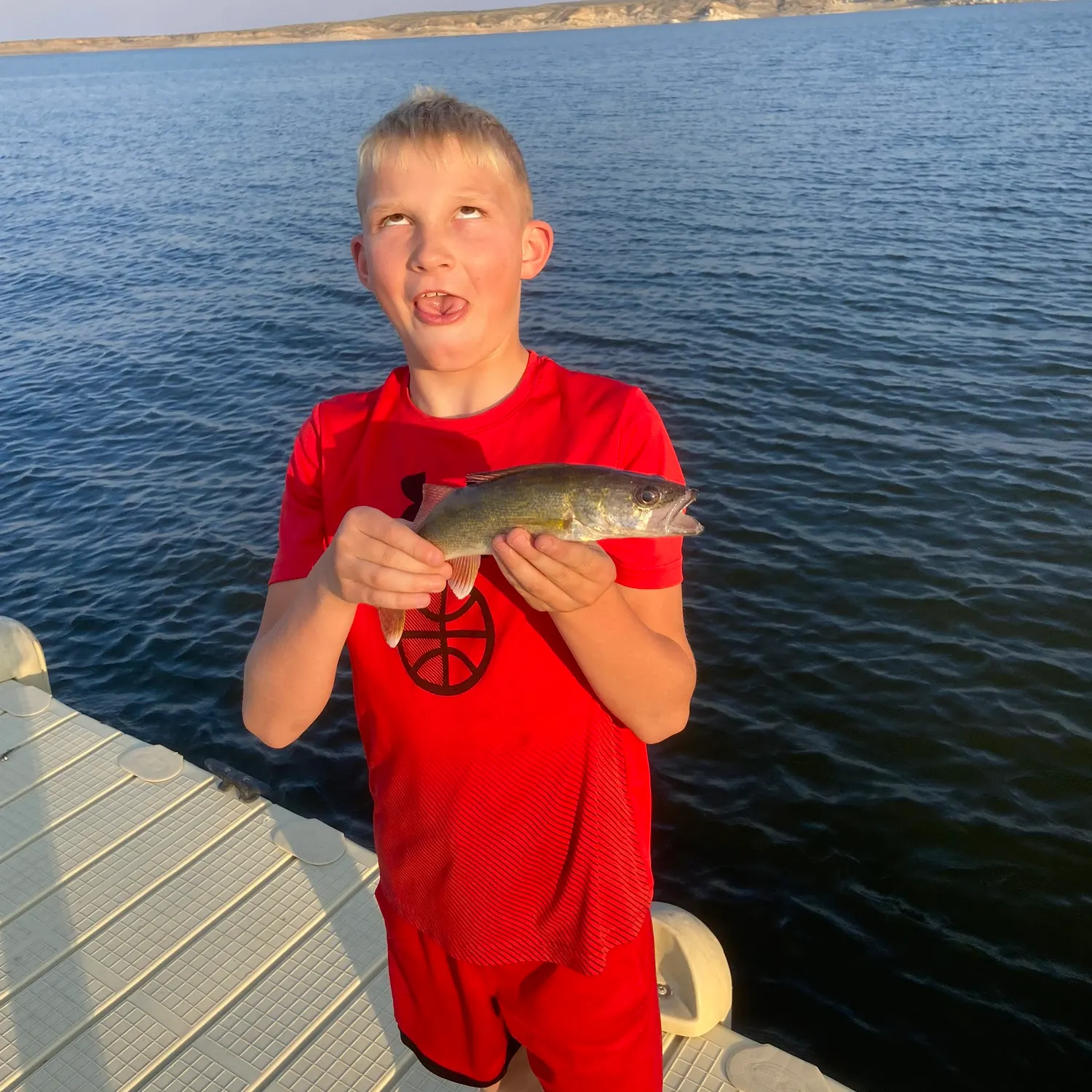 The most recent Walleye catches on Fishbrain