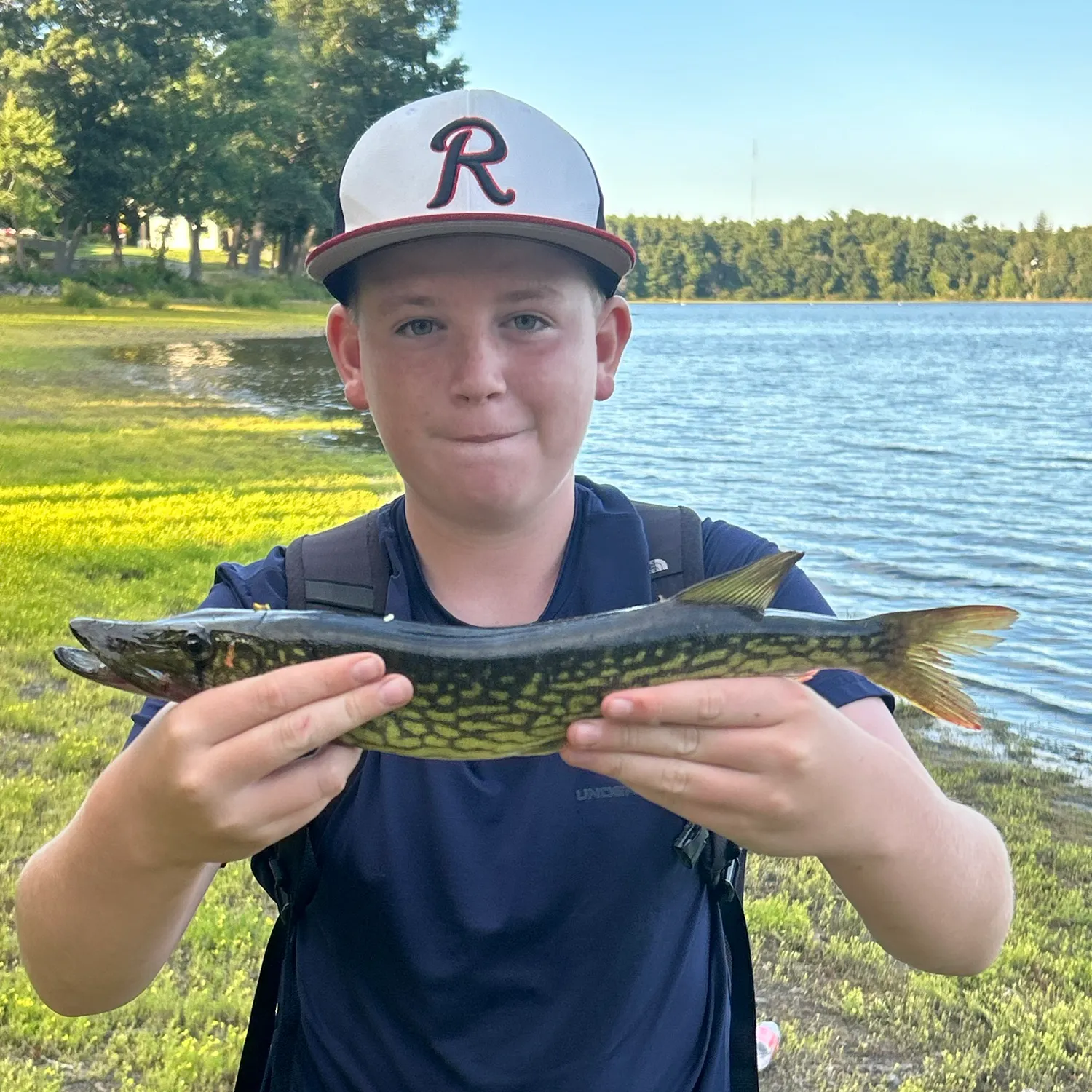 Chain pickerel caught on Fishbrain