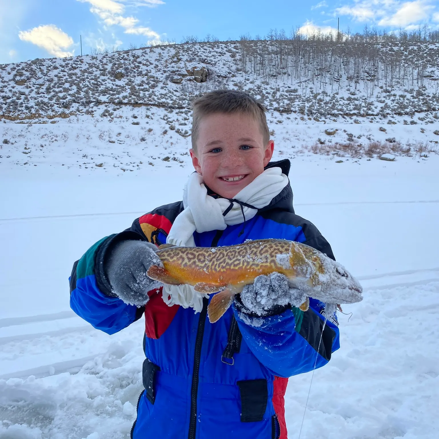 The most recent Tiger trout catches on Fishbrain