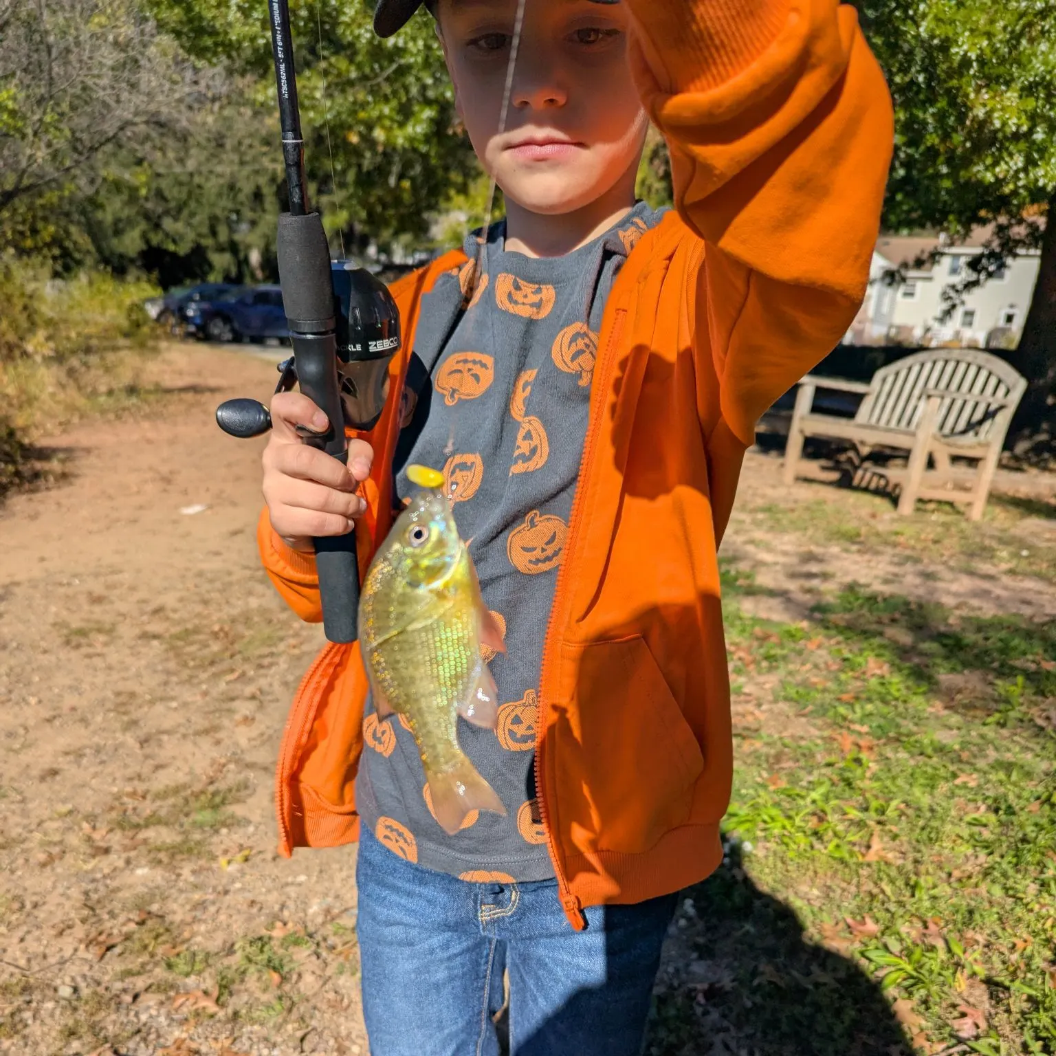 Green sunfish caught on Fishbrain