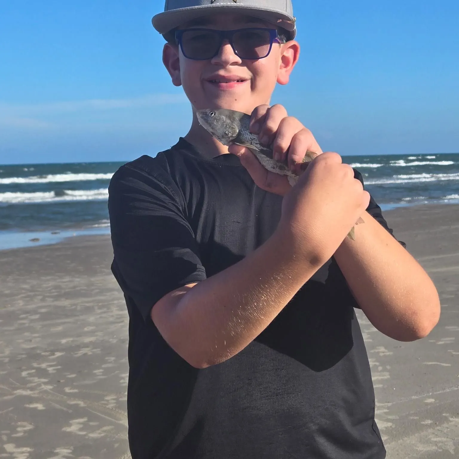 The most recent Pacific whiting catches on Fishbrain