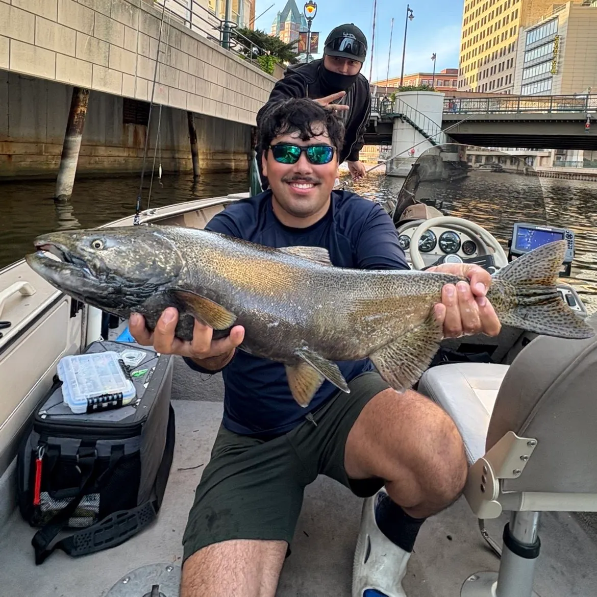 The most recent Chinook salmon catches on Fishbrain