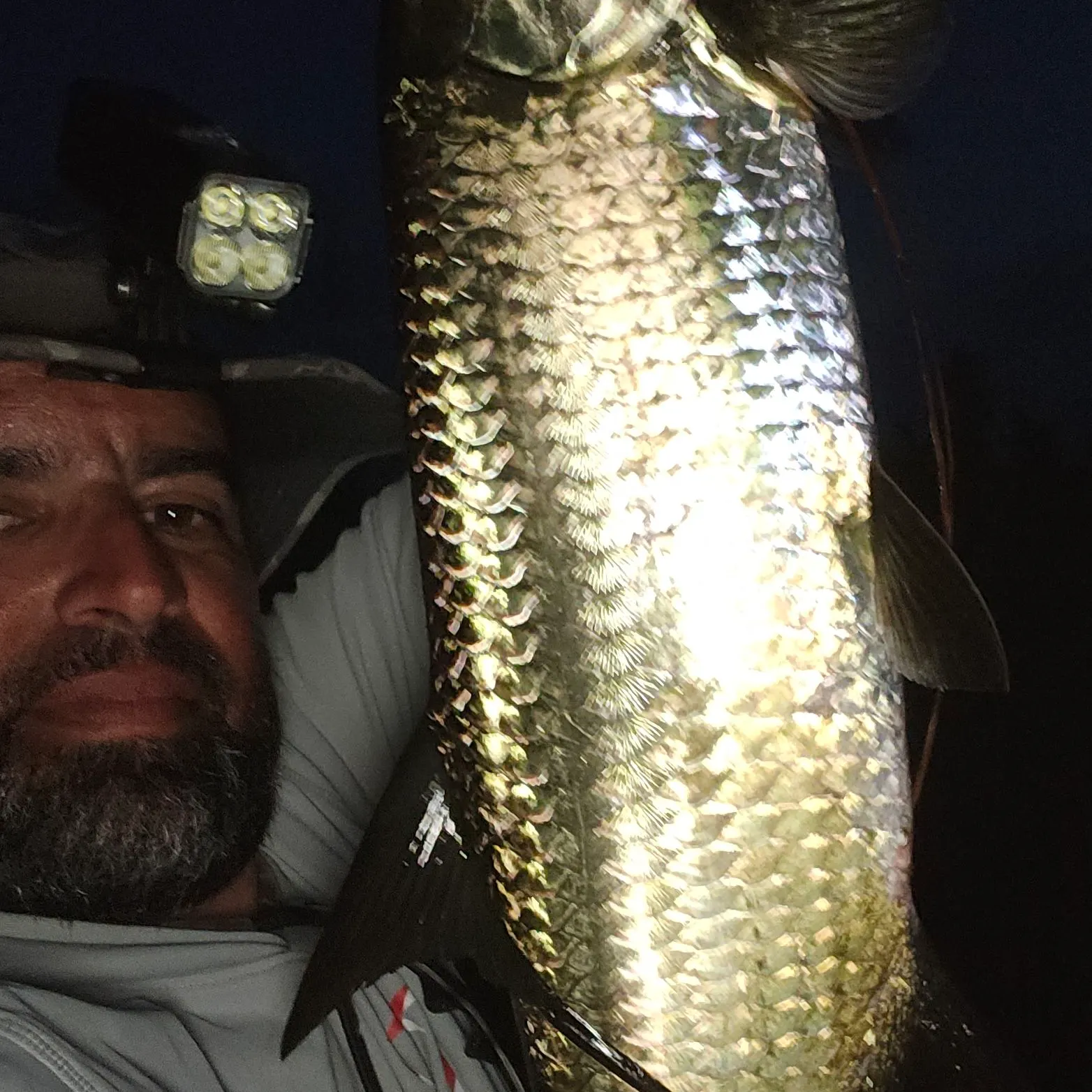 Tarpon caught on Fishbrain